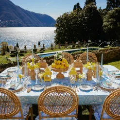 Best Mrs. Alice Blue Matilde Dinner & Starter Plates (Set Of 8)