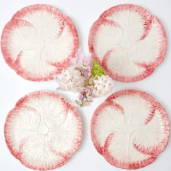 Discount Mrs. Alice Pink Capri Lettuce Dinner Plate (Set Of 4)