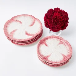 Outlet Mrs. Alice Pink Capri Lettuce Starter Plate (Set Of 4)
