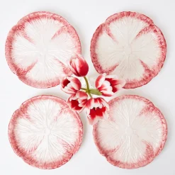 Outlet Mrs. Alice Pink Capri Lettuce Starter Plate (Set Of 4)