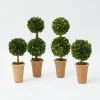 Sale Mrs. Alice Potted Boxwood Decoration Set