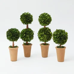 Sale Mrs. Alice Potted Boxwood Decoration Set