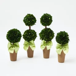 Best Mrs. Alice Potted Boxwood With Green Bow Decoration Set