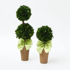 Best Mrs. Alice Potted Boxwood With Green Bow Decoration Set