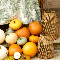 Best Mrs. Alice Small Rattan Lantern