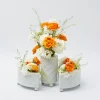 Hot Mrs. Alice Three Piece Ceramic Bamboo Vase