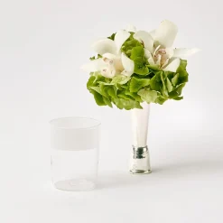 New Mrs. Alice White Ribbon Water Glasses (Set Of 4)